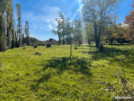 terrain viabilisé bressols - 901m2 lot 2 sur 3 - bressols 81 500