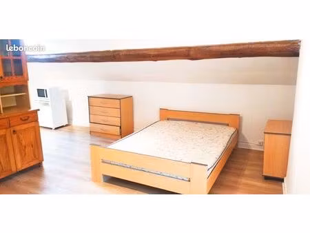 appartement t1 bis meublé - idéalement situé - place bellevue