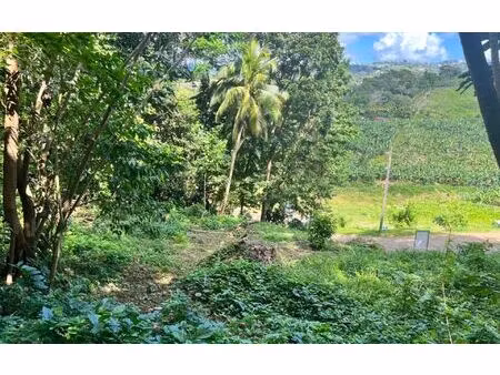 terrain le lamentin m² t- à vendre  80 000 €