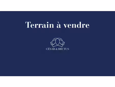 terrain à vendre les haies