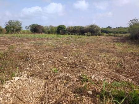 terrain constructible à vendre