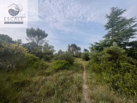 vente terrain agricole a pignan