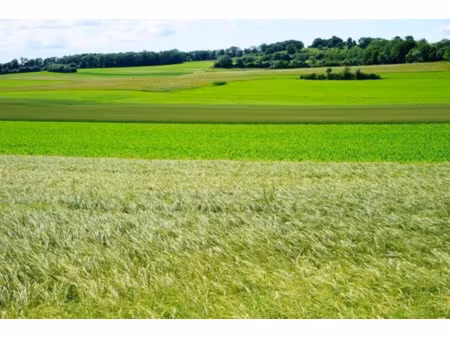 terrain à vendre la frette sur seine 680m2 780 000€