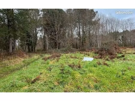 terrain 1 292 m² mios