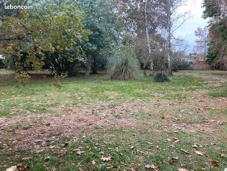 terrain 1 700 m² loupes