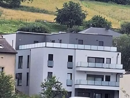 f4 d'exception meuble aux 3 frontieres a 30 mins de luxembourg