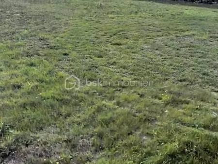 terrain constructible