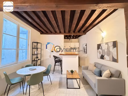 t2 duplex 34 m² - hypercentre orleans