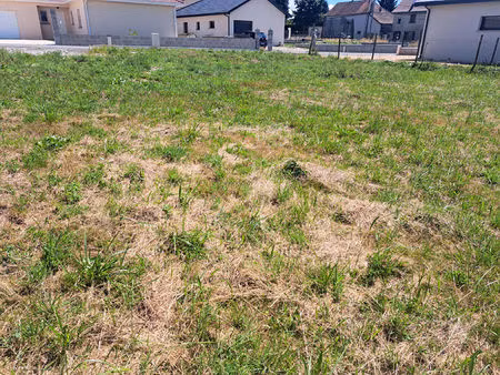 achat terrain 564m²