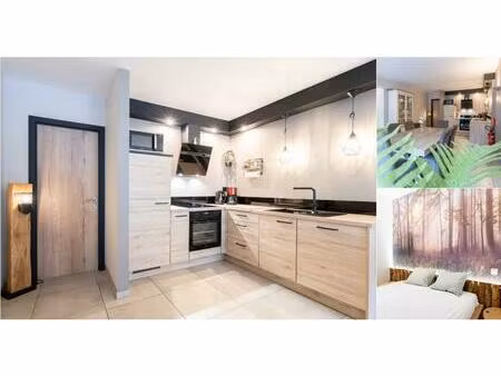 appartement à vendre à rue de cielle 4a la roche-en-ardenne (vbd93438)