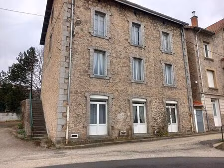 achat immeuble 300m² dunieres 43220