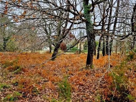 achat terrain 2 050m² st julien en born 40170