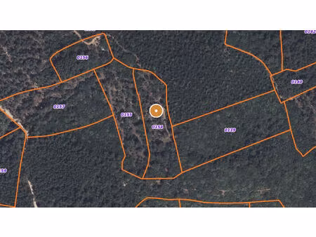 vente terrain 7400 m² carnoules (83660)