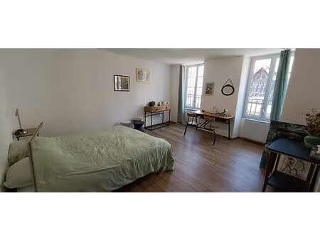 location appartement 1 pièce 25m²