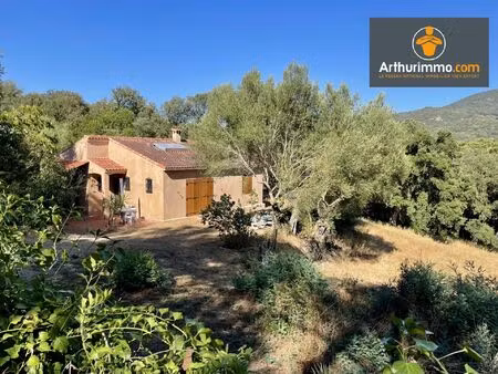 vente maison 9 pièces 246 m2 à sartène