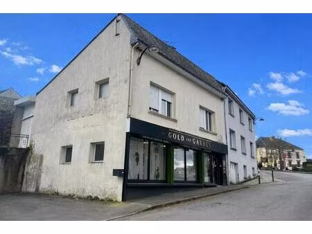 achat immeuble 150m² st jean brevelay 56660