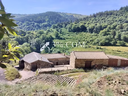 vente propriété 8 pièces 195 m² à saint-genest-lachamp (07160)  230 000 €