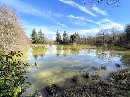 achat terrain 33 075m²