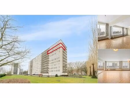 appartement à vendre à august vermeylenlaan 1 anvers (rbv38618)