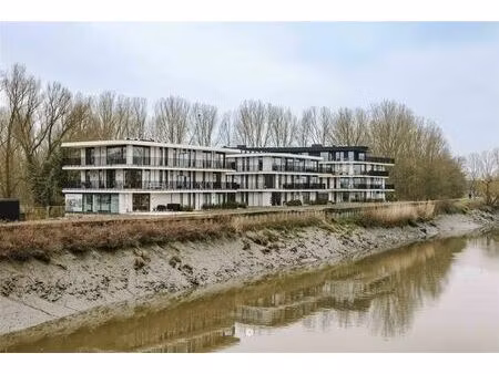 appartement te koop in hamme met 1 slaapkamer