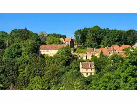 immeuble à vendre la petite pierre (67)
