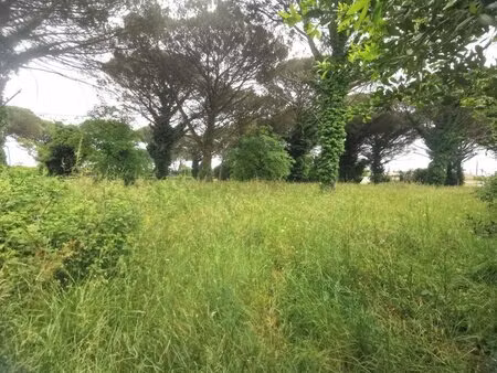 terrain à bâtir à langon (33210)