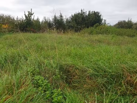 terrain à bâtir à gauriaguet (33240)