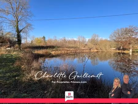 achat terrain 10 895m² langon 41320