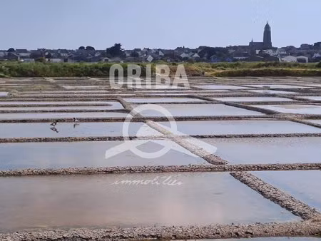 achat terrain 311m² batz sur mer 44740