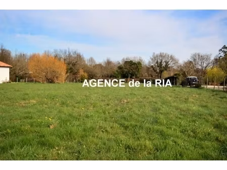 annonce terrain à vendre