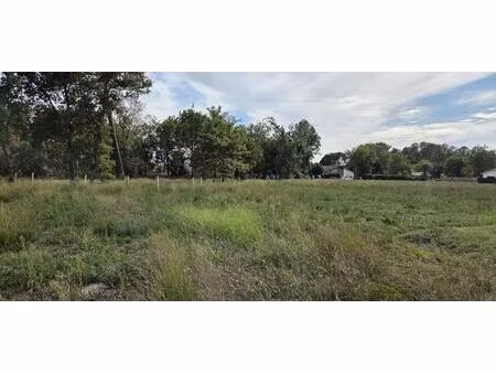 vente terrain à construire 714 m² parentis-en-born (40160)