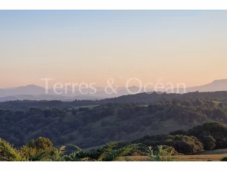 annonce maison à vendre