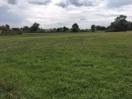 vente terrain à construire 1127 m² gauriaguet (33240)