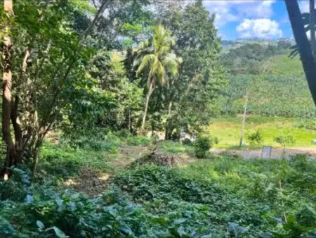 vente terrain 500 m² le lamentin (97232)