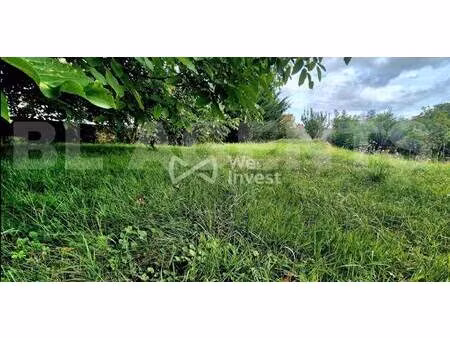 we invest samantha speeg