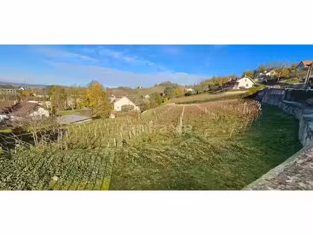 votre future maison - arbois (39600) : terrain de 3000m2 avec vue dominante et exposition 