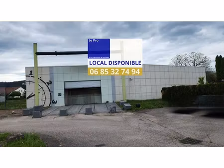 location locaux professionnels 1500 m² à saint-die-des-vosges (88100)  6 000 €