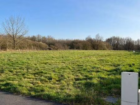 vente terrain à la marne (44270) : à vendre / la marne