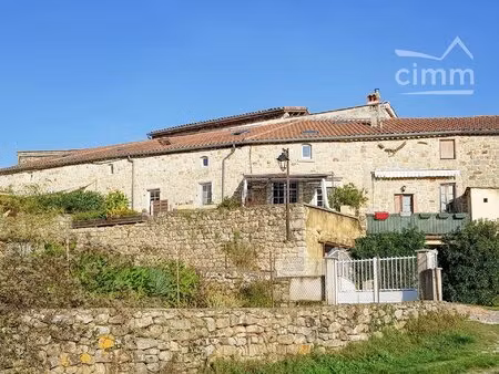 mas rénové avec goût  2 gîtes  terrasses et ateliers