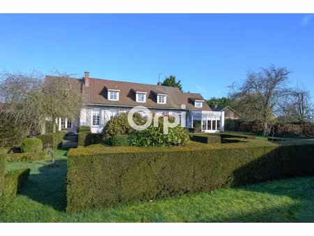 vente maison 6 pièces 220 m² à beuvry-la-forêt (59310)  432 550 €