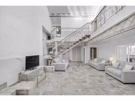 élégante maison lumineuse à joinville-le-pont