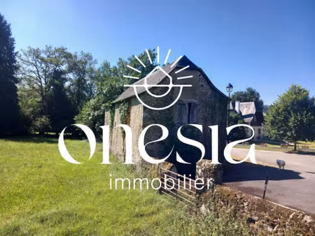 vente appartement 1 pièce 60 m² à ance féas (64570)  66 000 €