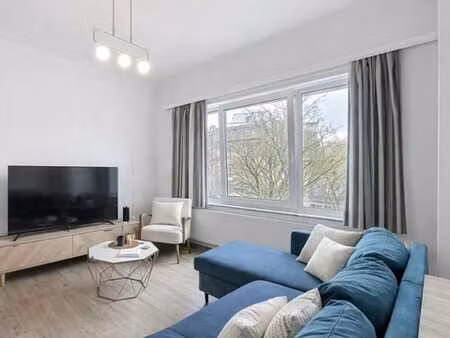 appartement une chambre