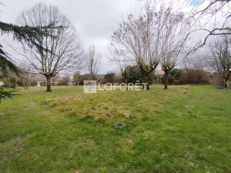terrain constructible 1500m² ?- arboré  hors lotissement - labastide-du-temple
