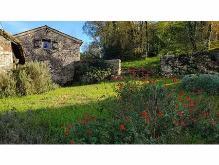 ensemble immobilier en pierres (350 m² habitables) idéal collectif ou gîtes