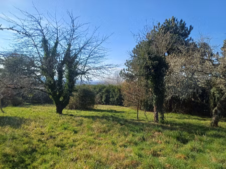 terrain constructible de 1223m2