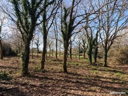 parcelle de bois et clairière - 9020 m2