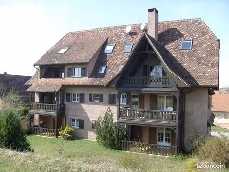 rantzwiller beau duplex 100 m² au sol avec clim