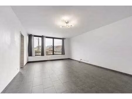 appartement prêt à emménager à buggenhout