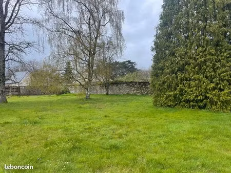 terrain constructible